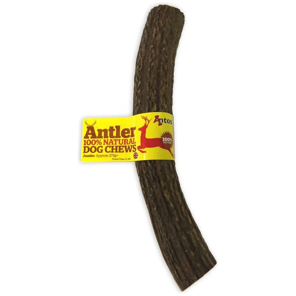 Antos Antler Natural Dog Chew - 1 Pack - Image 6
