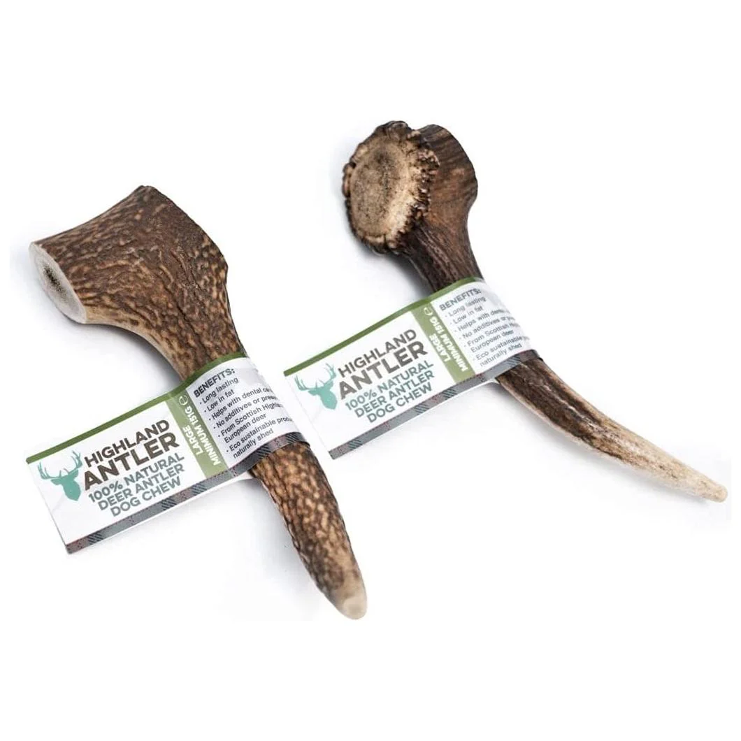 Antos Antler Natural Dog Chew - 2 Pack Deal - Image 5