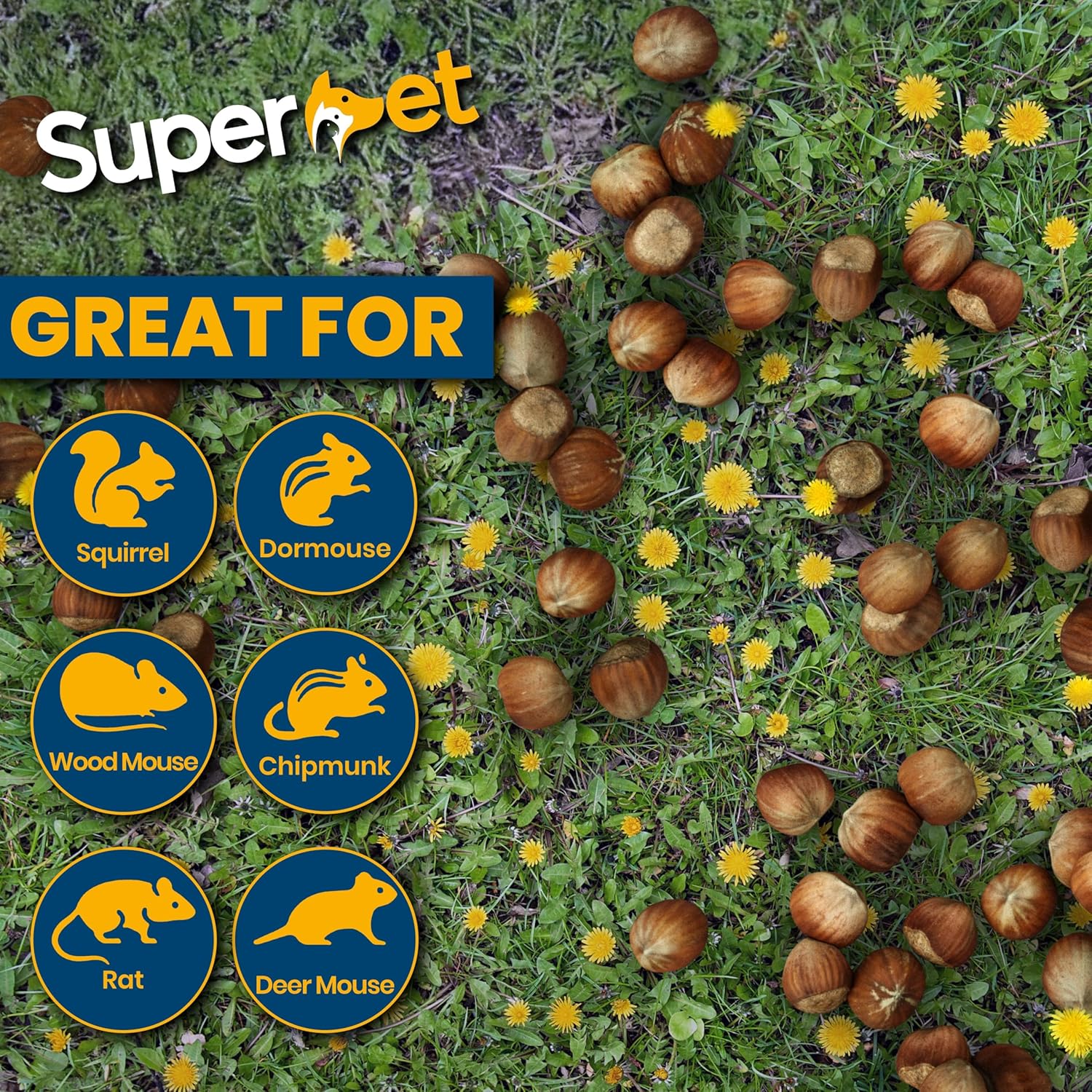 Superpet Premium Whole Hazelnuts in Shell for Wild Bird Food and Squirrel Food, Natural High Energy Bird Food for Garden Wildlife Nutrition and Feeders - Image 4