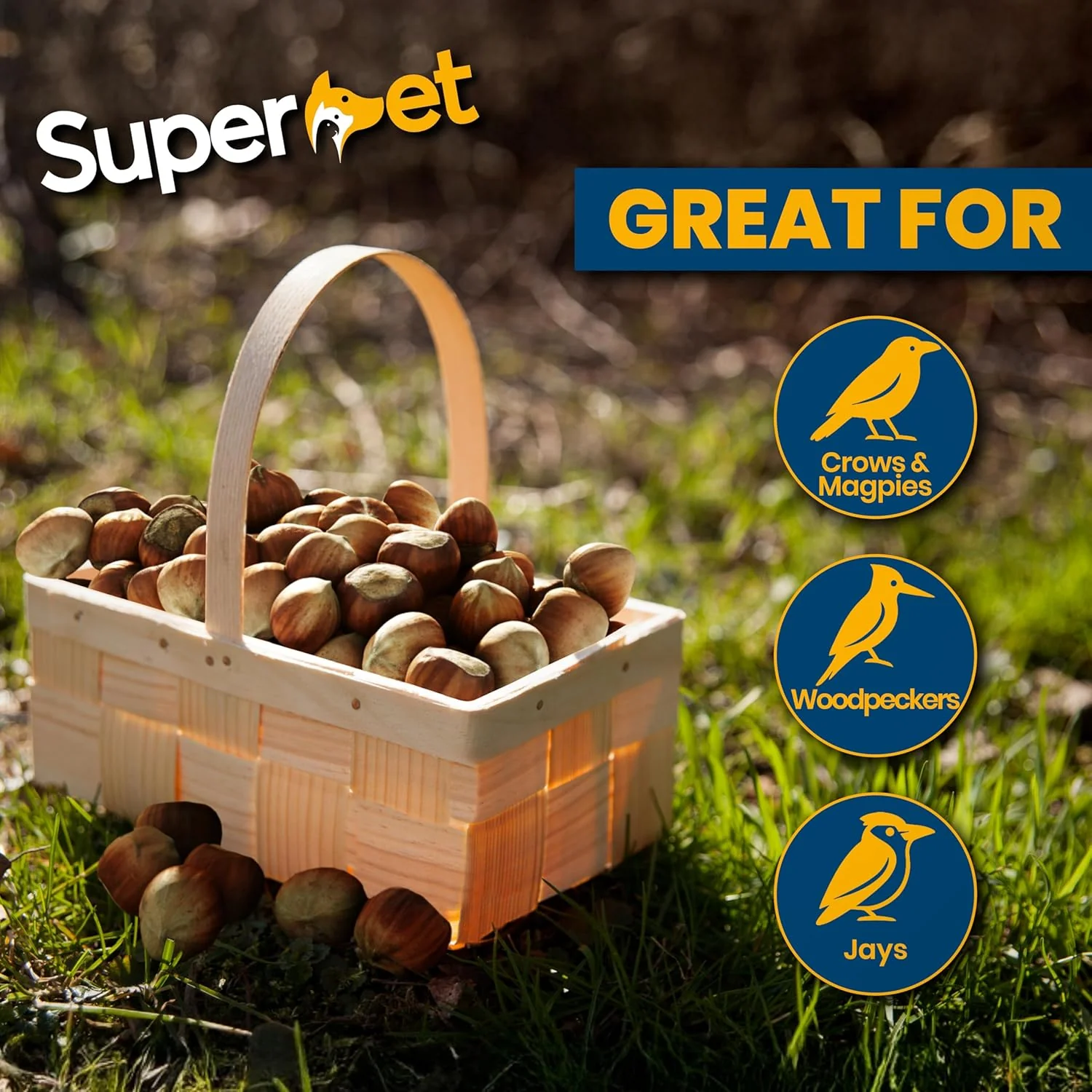 Superpet Premium Whole Hazelnuts in Shell for Wild Bird Food and Squirrel Food, Natural High Energy Bird Food for Garden Wildlife Nutrition and Feeders - Image 5