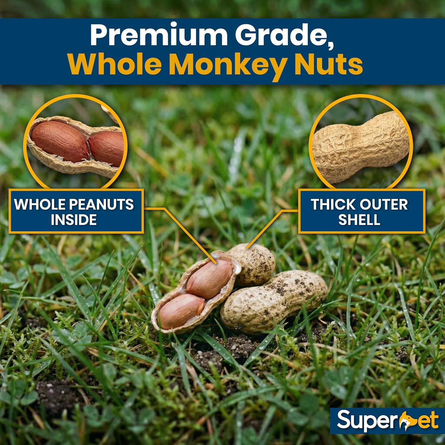 Superpet Monkey Nuts, Peanuts for Wild Birds, Squirrel Food, Natural Bird Peanuts in Shells for Crows, Jays, Magpies & Garden Wildlife, High-Energy Foraging Alternative to Bird Seed - Image 3