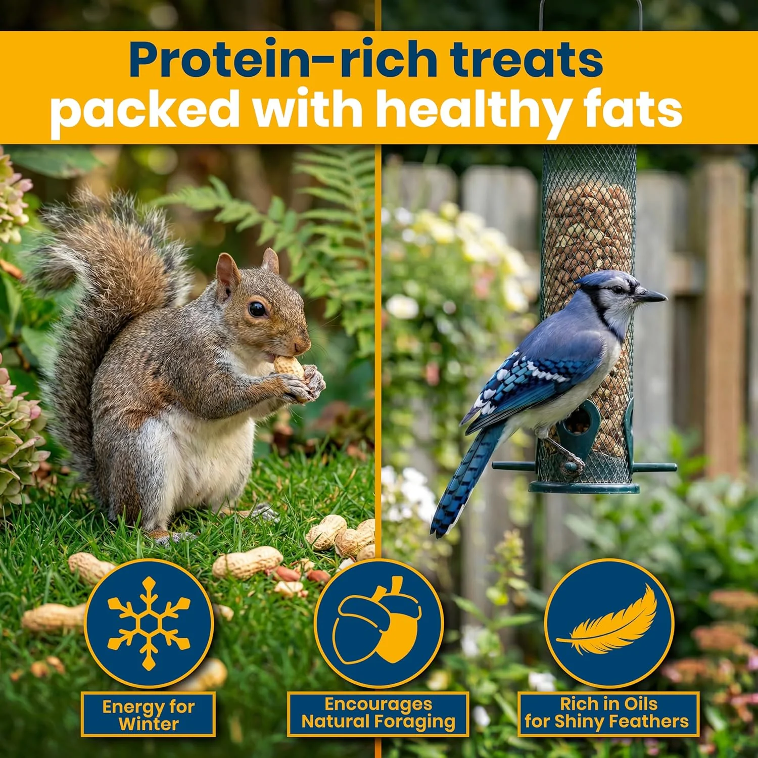 Superpet Monkey Nuts, Peanuts for Wild Birds, Squirrel Food, Natural Bird Peanuts in Shells for Crows, Jays, Magpies & Garden Wildlife, High-Energy Foraging Alternative to Bird Seed - Image 4