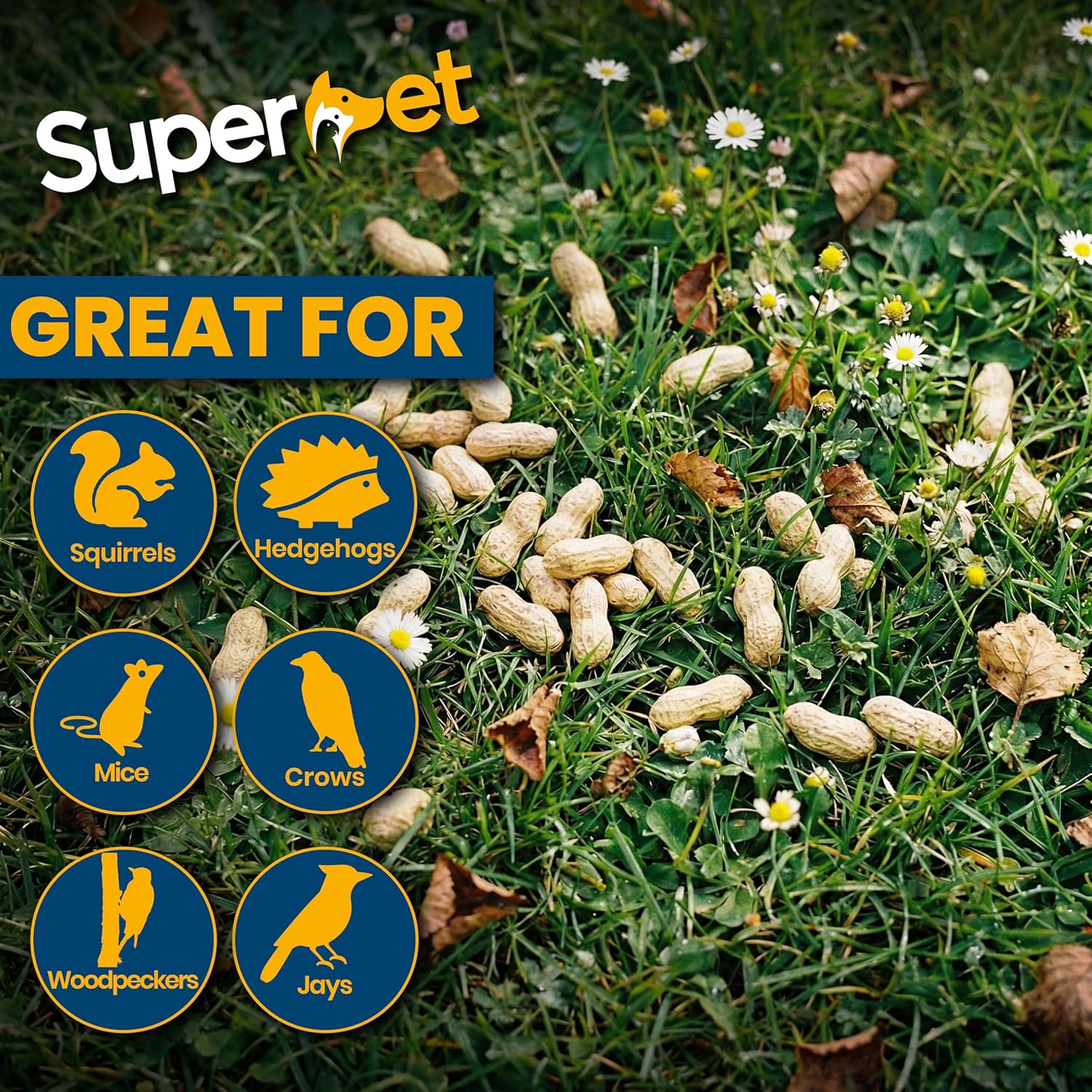 Superpet Monkey Nuts, Peanuts for Wild Birds, Squirrel Food, Natural Bird Peanuts in Shells for Crows, Jays, Magpies & Garden Wildlife, High-Energy Foraging Alternative to Bird Seed - Image 5