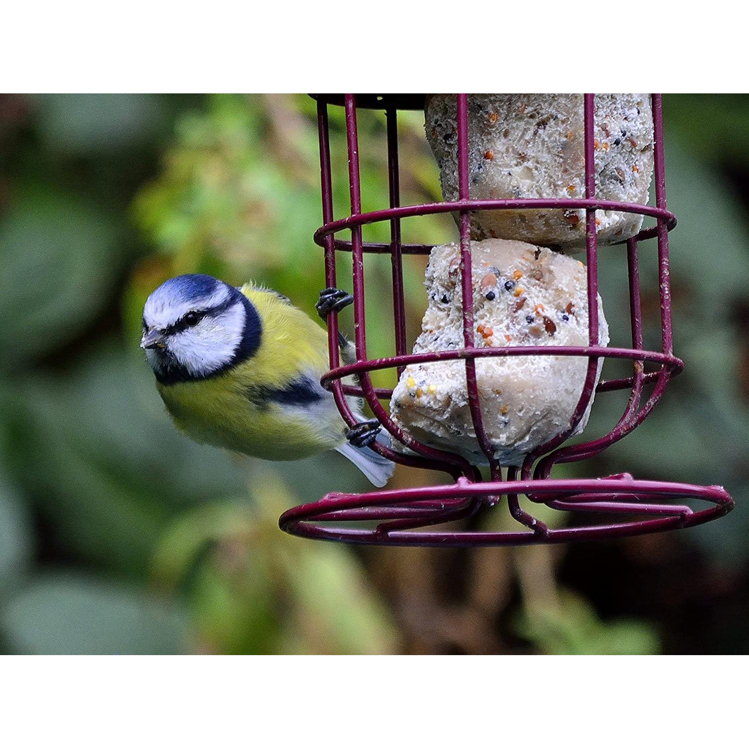 Suet To Go Premium Suet Balls Wild Bird Treat, 150 x 90 g - Image 3