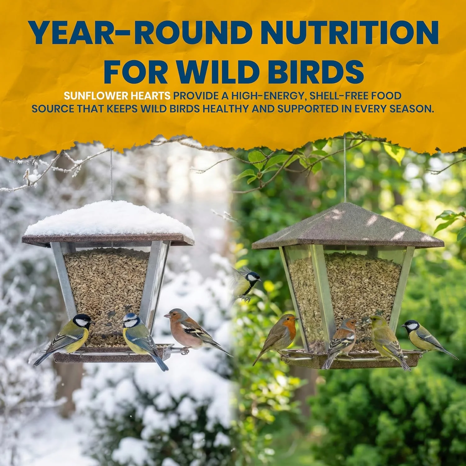 Superpet Premium Sunflower Hearts Bird Food, Dehusked Sunflower Seeds for Wild Birds, No Mess Bird Seed for Robins, Finches, Sparrows & Small Garden Birds, High-Energy Kernels - Image 3