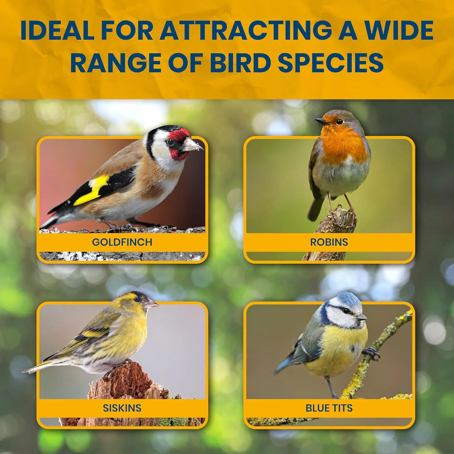 Superpet Premium Sunflower Hearts Bird Food, Dehusked Sunflower Seeds for Wild Birds, No Mess Bird Seed for Robins, Finches, Sparrows & Small Garden Birds, High-Energy Kernels - Image 6